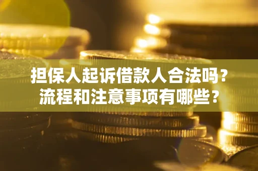 武汉担保人起诉借款人合法吗？流程和注意事项有哪些？
