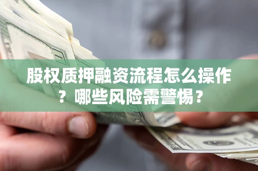 武汉股权质押融资流程怎么操作？哪些风险需警惕？