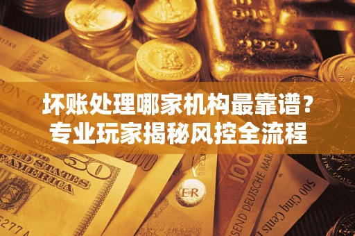 武汉坏账处理哪家机构最靠谱？专业玩家揭秘风控全流程