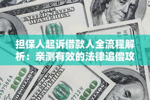 武汉担保人起诉借款人全流程解析：亲测有效的法律追偿攻略
