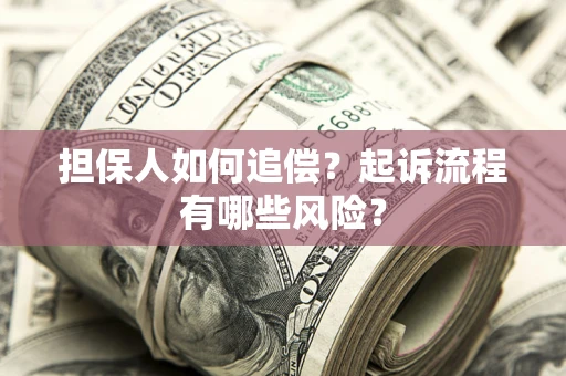 武汉担保人如何追偿？起诉流程有哪些风险？