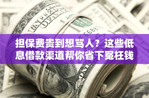 武汉担保费贵到想骂人？这些低息借款渠道帮你省下冤枉钱