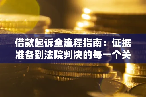 武汉借款起诉全流程指南：证据准备到法院判决的每一个关键步骤