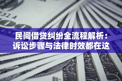 武汉民间借贷纠纷全流程解析：诉讼步骤与法律时效都在这儿了