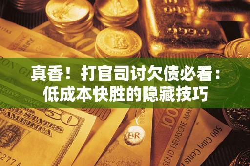 武汉真香！打官司讨欠债必看：低成本快胜的隐藏技巧