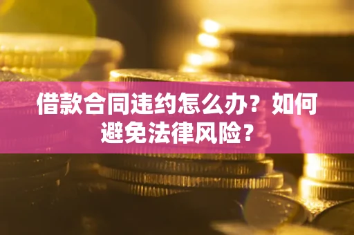 武汉借款合同违约怎么办？如何避免法律风险？
